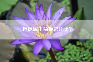 担保属于商标第几类？