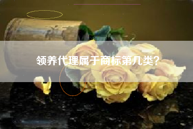 领养代理属于商标第几类？