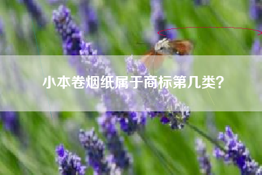 小本卷烟纸属于商标第几类？