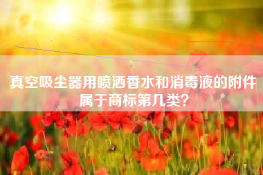 真空吸尘器用喷洒香水和消毒液的附件属于商标第几类？