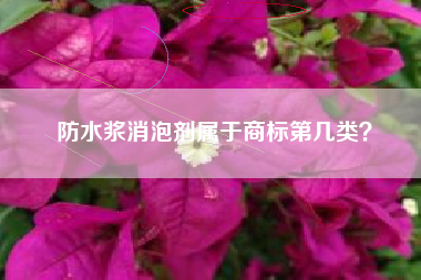 防水浆消泡剂属于商标第几类？