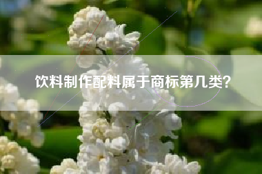 饮料制作配料属于商标第几类？