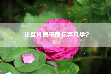 计算机属于商标第几类？