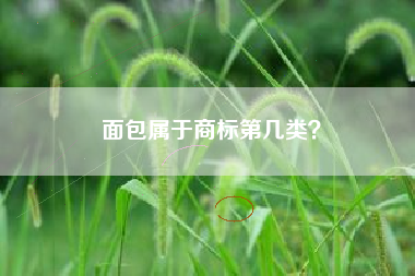 面包属于商标第几类？