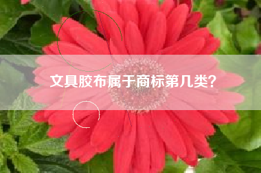 文具胶布属于商标第几类？