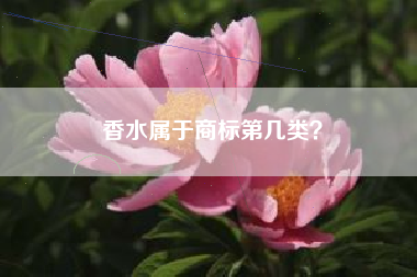 香水属于商标第几类？
