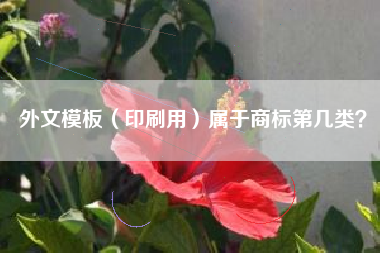 外文模板（印刷用）属于商标第几类？