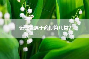 磁碰块属于商标第几类？