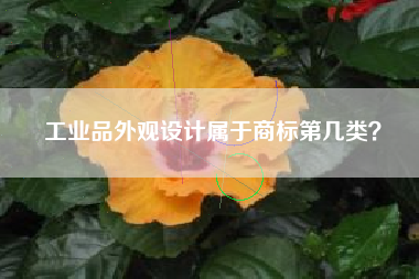 工业品外观设计属于商标第几类？
