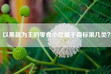 以果蔬为主的零食小吃属于商标第几类？