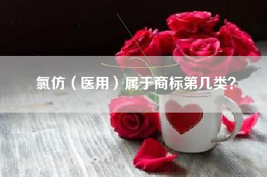 氯仿（医用）属于商标第几类？