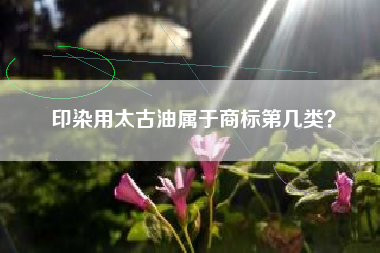 印染用太古油属于商标第几类？