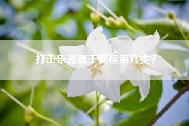 打击乐器属于商标第几类? 打击乐器属于商标第几类?
