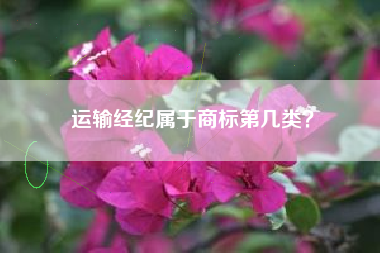 运输经纪属于商标第几类？