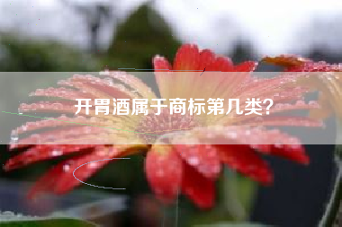 开胃酒属于商标第几类？