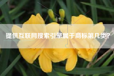 提供互联网搜索引擎属于商标第几类？