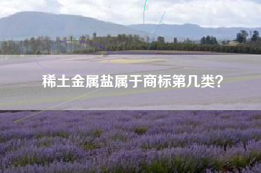 稀土金属盐属于商标第几类？