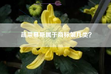 蔬菜慕斯属于商标第几类？