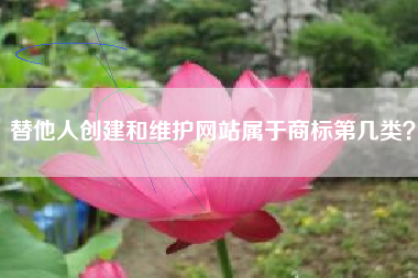 替他人创建和维护网站属于商标第几类？