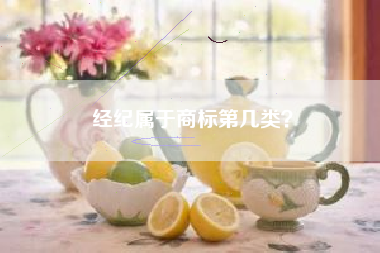 经纪属于商标第几类？