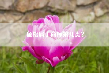 鱼松属于商标第几类？