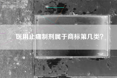 医用止痛制剂属于商标第几类？