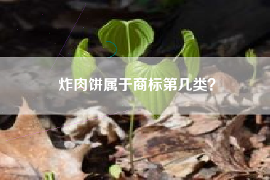 炸肉饼属于商标第几类？