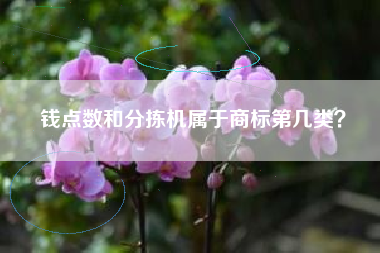 钱点数和分拣机属于商标第几类？
