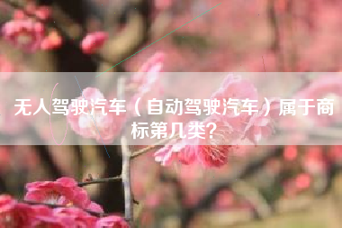 无人驾驶汽车（自动驾驶汽车）属于商标第几类？