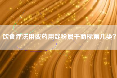 饮食疗法用或药用淀粉属于商标第几类？