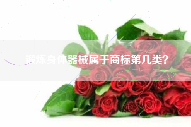 锻炼身体器械属于商标第几类？