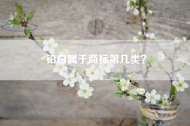 铅白属于商标第几类？
