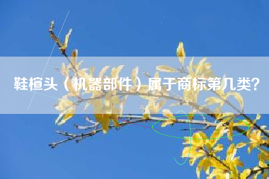 鞋楦头（机器部件）属于商标第几类？