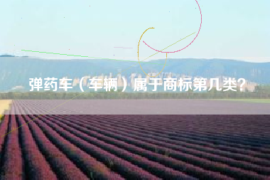 弹药车（车辆）属于商标第几类？
