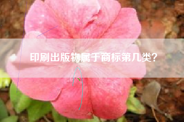 印刷出版物属于商标第几类？