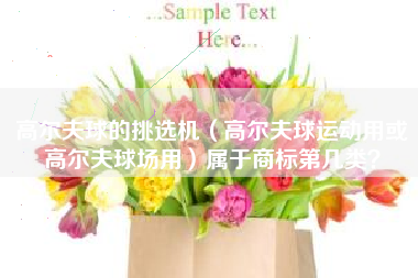 高尔夫球的挑选机（高尔夫球运动用或高尔夫球场用）属于商标第几类？