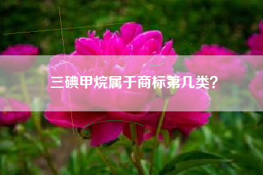 三碘甲烷属于商标第几类？