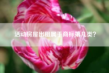 活动房屋出租属于商标第几类？