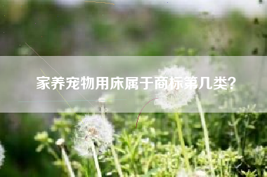 家养宠物用床属于商标第几类？