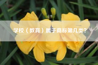 学校(教育)属于商标第几类? 学校(教育)属于商标第几类?