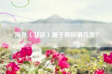 海参（非活）属于商标第几类？