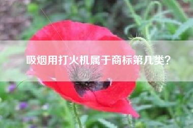 吸烟用打火机属于商标第几类？