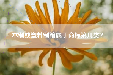 木制或塑料制箱属于商标第几类？