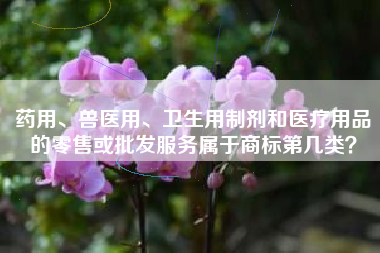 药用、兽医用、卫生用制剂和医疗用品的零售或批发服务属于商标第几类？