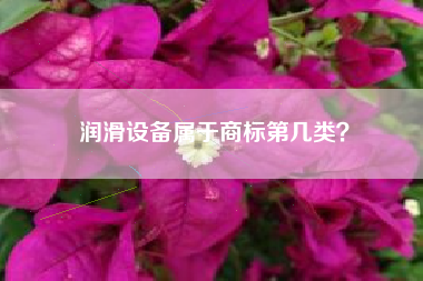润滑设备属于商标第几类？