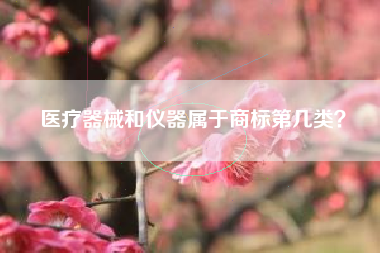 医疗器械和仪器属于商标第几类？