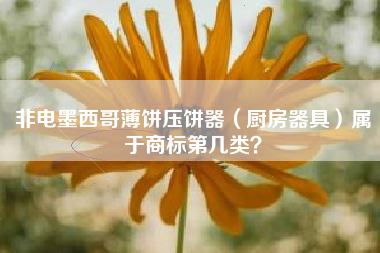 非电墨西哥薄饼压饼器（厨房器具）属于商标第几类？