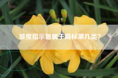 坡度指示器属于商标第几类？