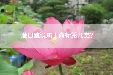 港口建设属于商标第几类？