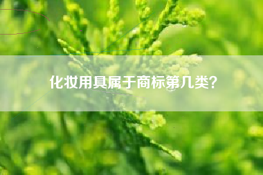化妆用具属于商标第几类？